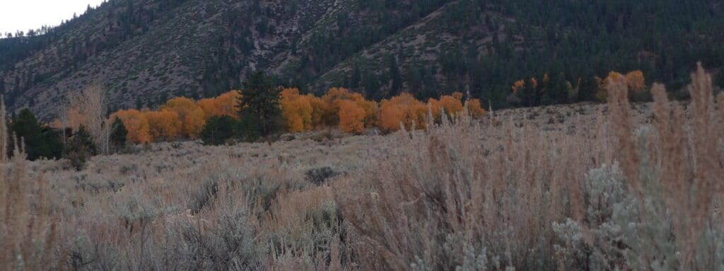 On Road to Fall Luther Trailhead